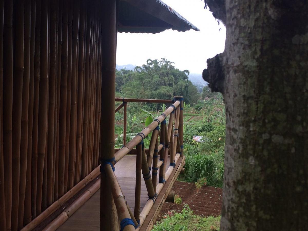Bali Tree House Pelangi Apartment Bedugul  Exterior photo