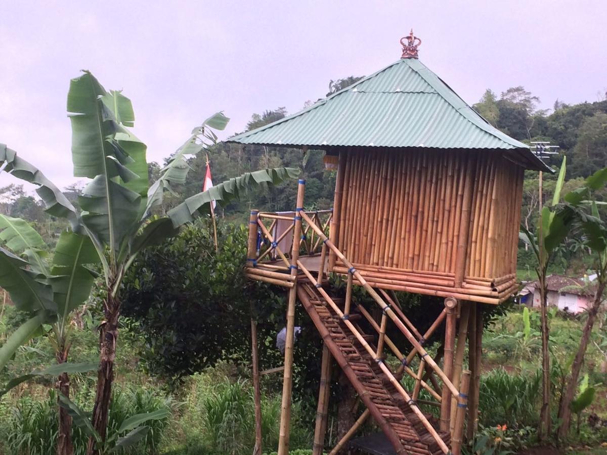 Bali Tree House Pelangi Apartment Bedugul  Exterior photo