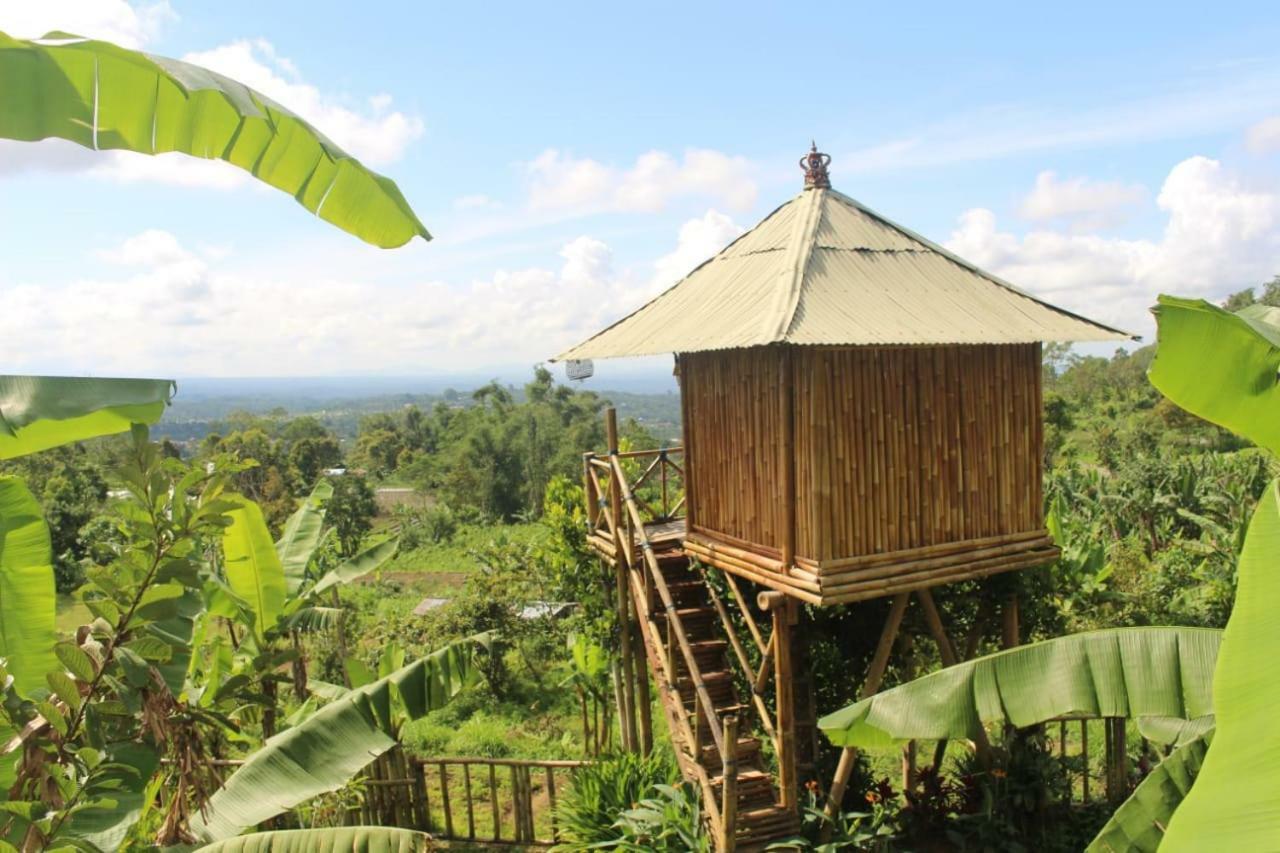 Bali Tree House Pelangi Apartment Bedugul  Exterior photo