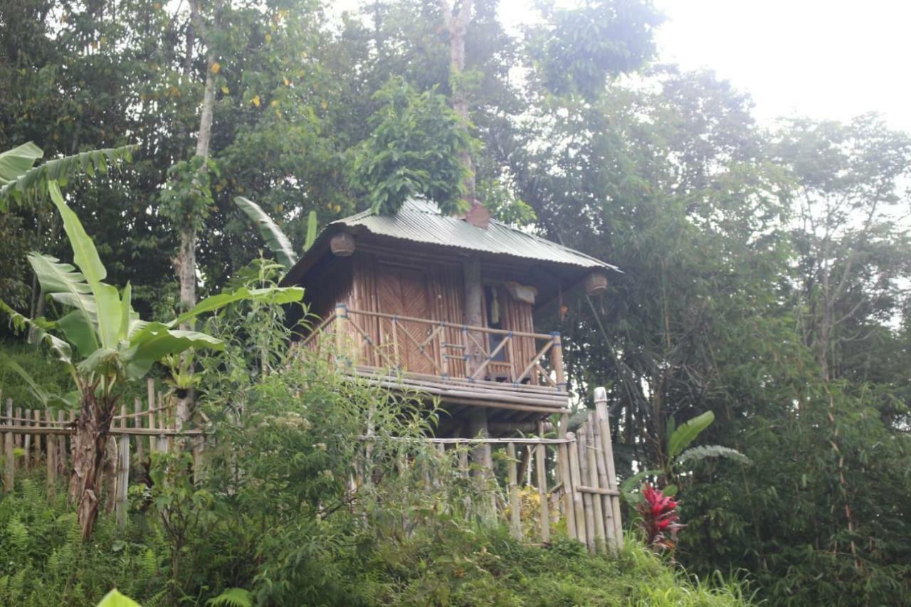 Bali Tree House Pelangi Apartment Bedugul  Exterior photo