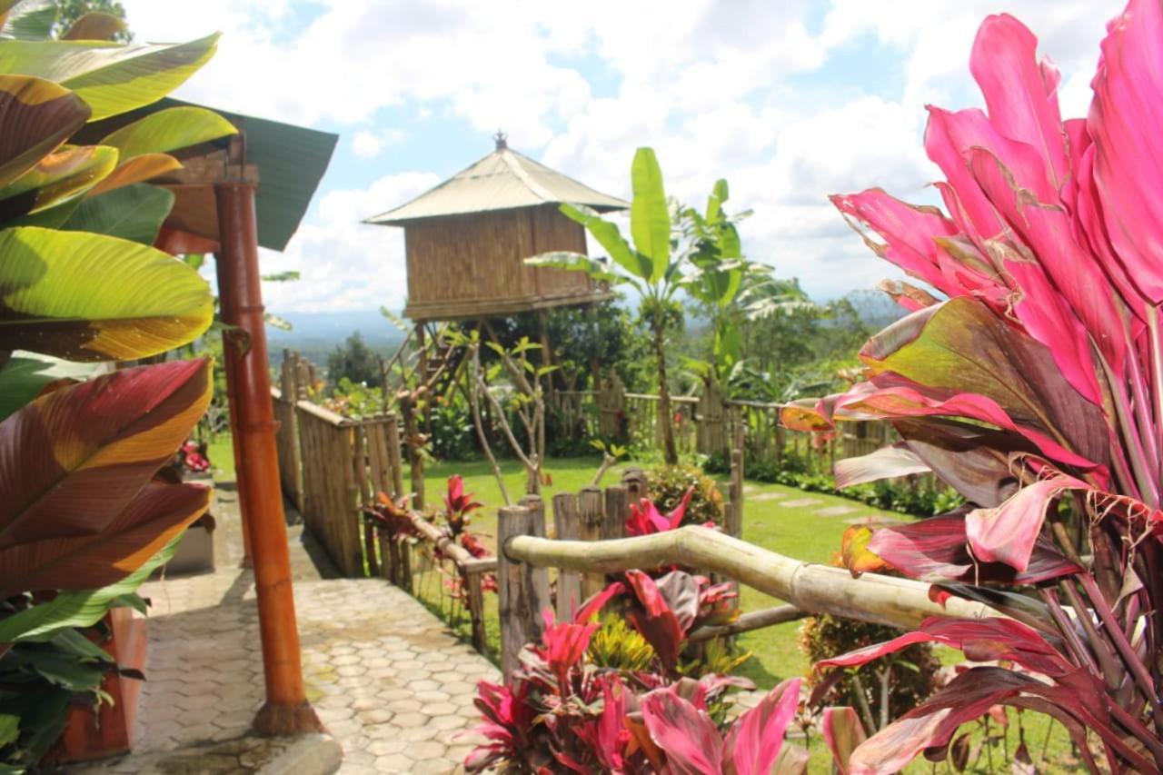 Bali Tree House Pelangi Apartment Bedugul  Exterior photo