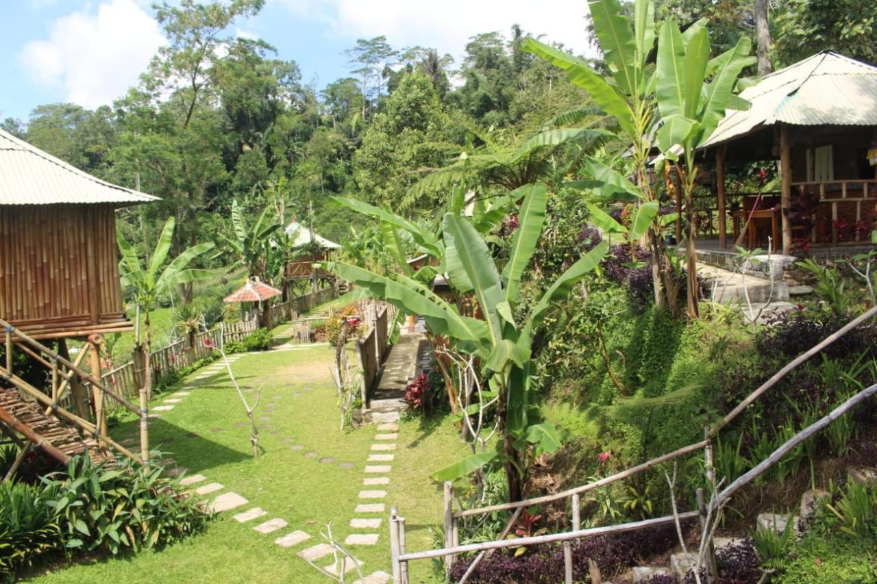 Bali Tree House Pelangi Apartment Bedugul  Exterior photo