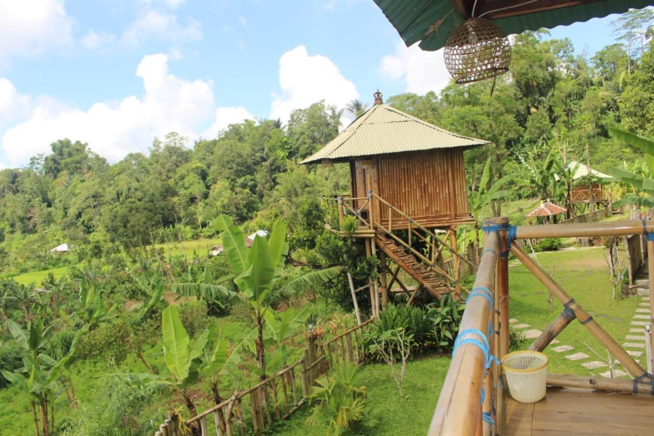Bali Tree House Pelangi Apartment Bedugul  Exterior photo