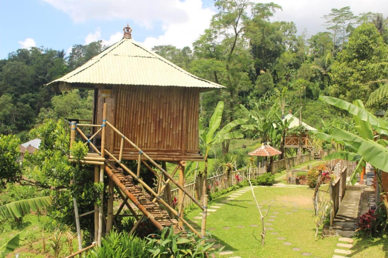 Bali Tree House Pelangi Apartment Bedugul  Exterior photo