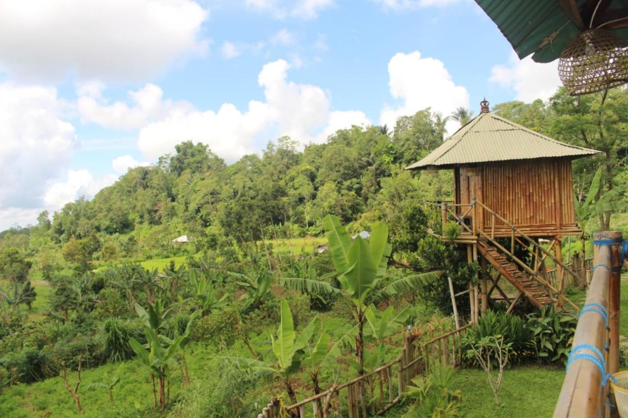 Bali Tree House Pelangi Apartment Bedugul  Exterior photo